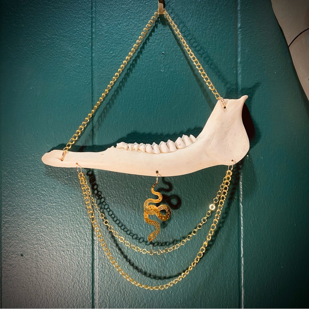 Real Deer Jawbone Snake Chain Wall Decoration